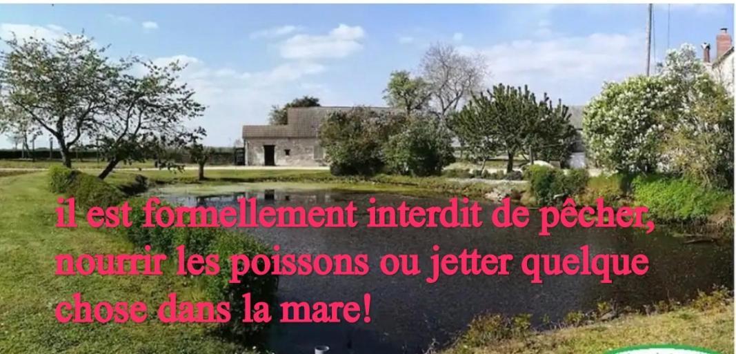 Gite Chez Jeannot Azay-le-Ferron Екстер'єр фото